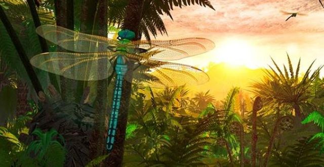 Diffusione degli insetti