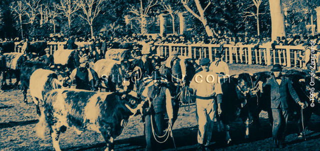 EL NEGOCIO DE LA GANADERÍA LA “AVENTURA PATRIÓTICA” DE FORMAR HACIENDAS