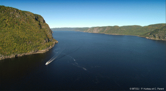 Development of new regions