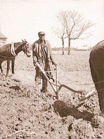 Sharecropping