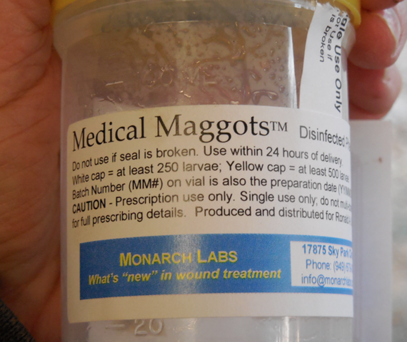 Steve Thomas used sterile maggots for infectious wound treatment.