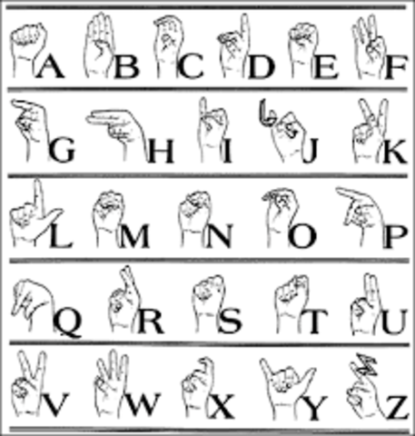 The emergence of "The sign language"