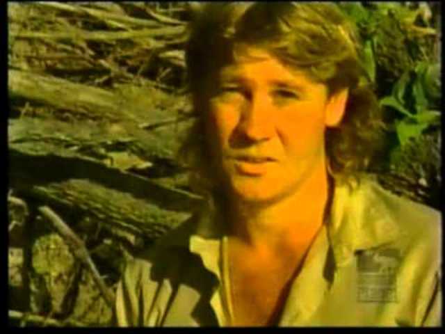 "The Crocodile Hunter" Premieres