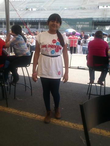 Concierto One Direction.