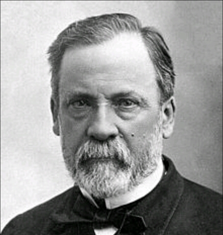 Pasteur perfezione il vaccino