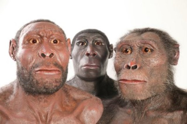 Comparvero i primi ominidi