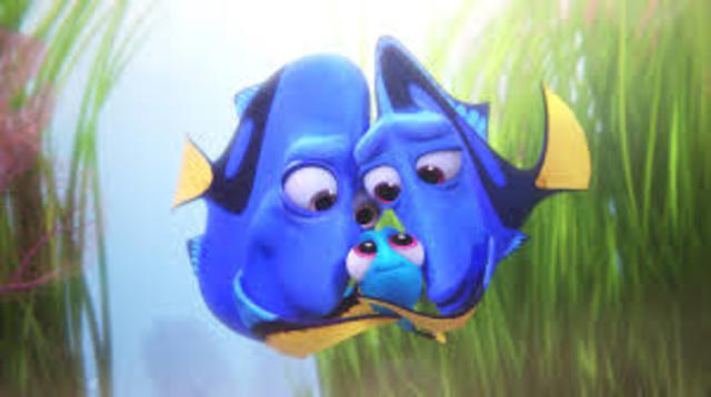 Introducing Dory and the Problem