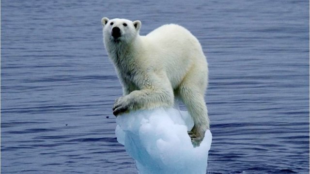 Efectos a largo plazo