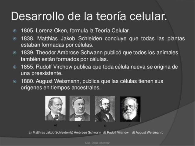 Lorenz Oken ( 1779 -  1851 )