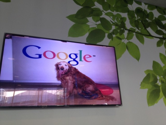 incorporación de Yoshka el "perro de compañía" de Google.