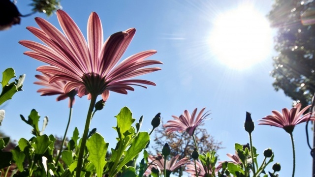 14de septiembre 1770