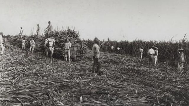 Emigration to the United States and the West