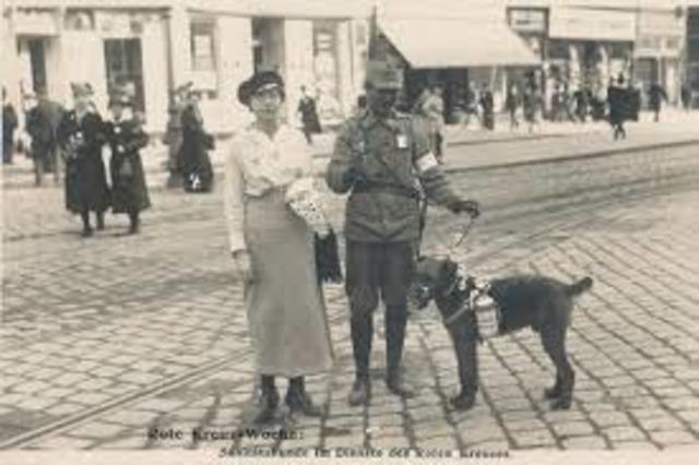 Primera guerra mundial