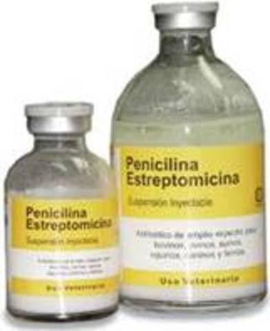 La penicilina