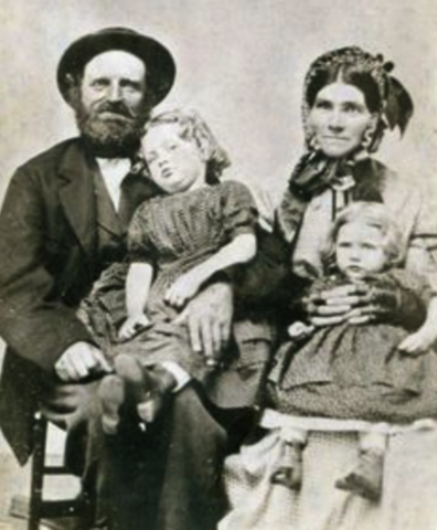 Evolution of the birth rate