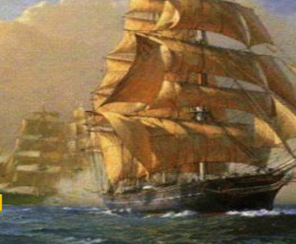 Migration and colonization