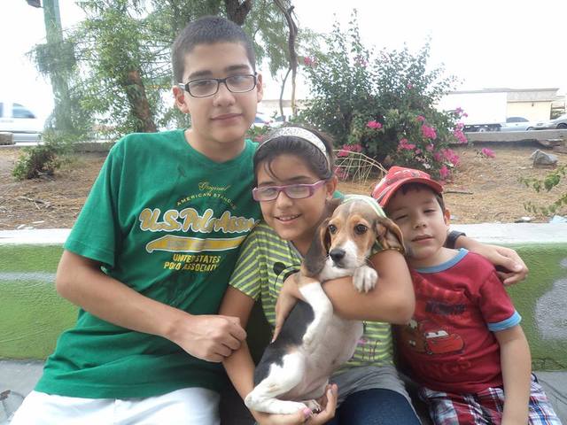 Adoptamos una perrita