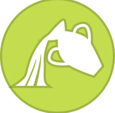 Yo nací el veintiocho de enero de 2000 en Gaffney, SC.