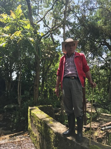 Disminución de presencia guerrillera