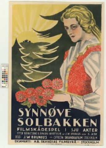 Bjørnstjerne Bjørnson: Synnøve Solbakken