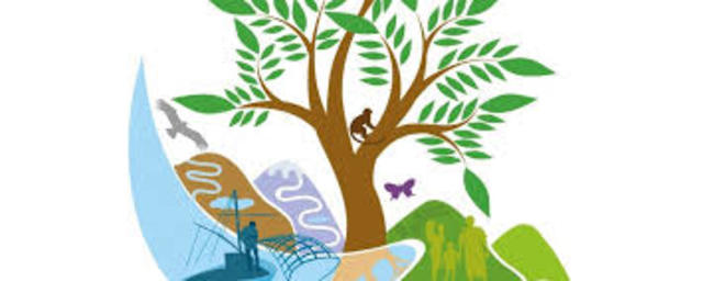 Ley General del Equilibrio Ecológico y la Protección al Ambiente