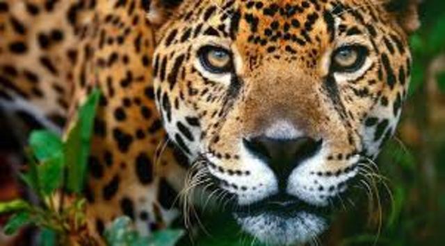 Manual de Ordenamiento Ecológico del Territorio