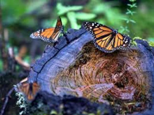 Ley General del Equilibrio Ecológico y la Protección al Ambiente