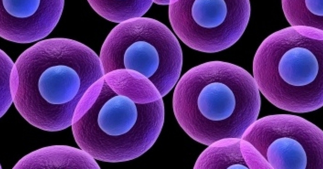 Creación de la Teoría celular