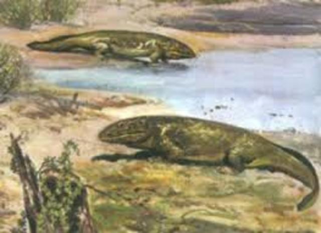I vertebrati iniziano a popolare la terra