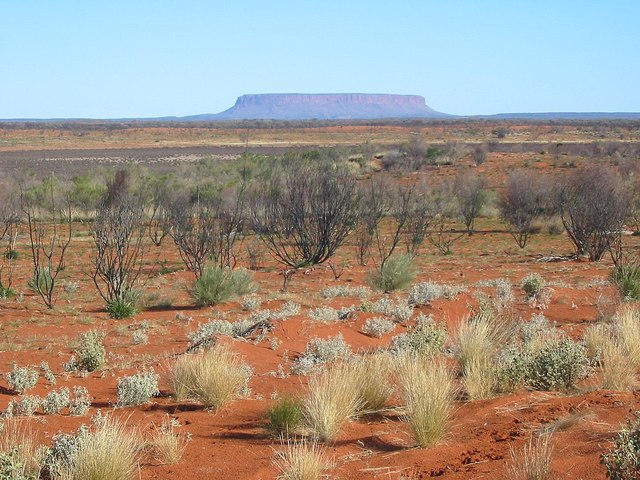 aboriginal in the outback