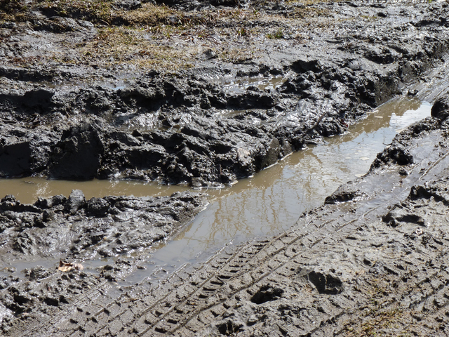 the start of the medium