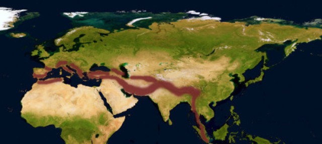 Orogenisi Himalayana