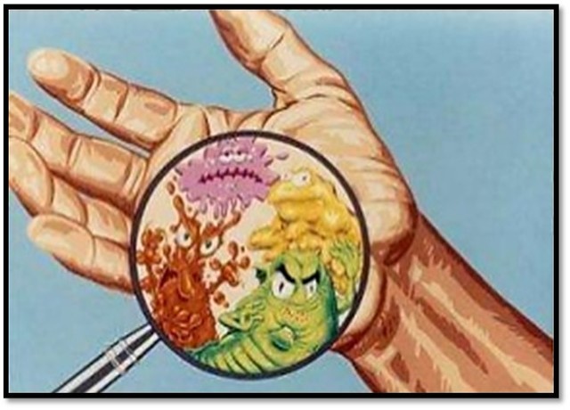 ETAPA MICROBIANA (1800-1950)