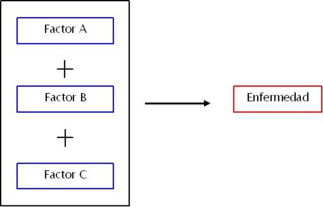 ETAPA POST MICROBIANA (1950-PRESENTE)