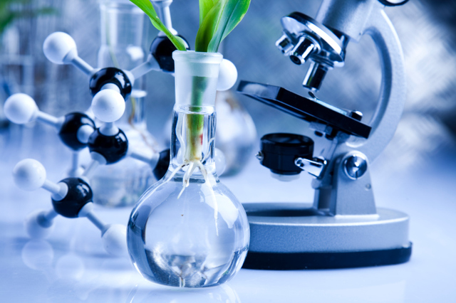 Día Internacional del Bioingeniero