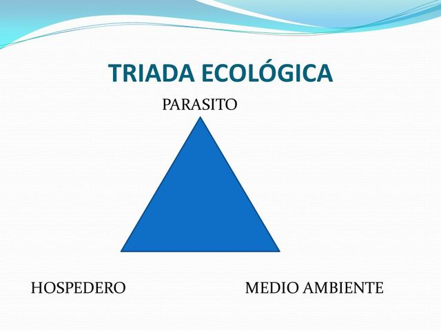 Reemplazo del modelo causal por la Triada Hospedero-Huésped-Hospedador