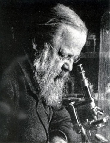 Avance en el conocimiento de enfermedades transmisibles (finales s. XVIII)