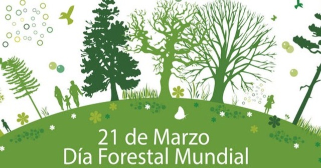 Día Forestal Mundial