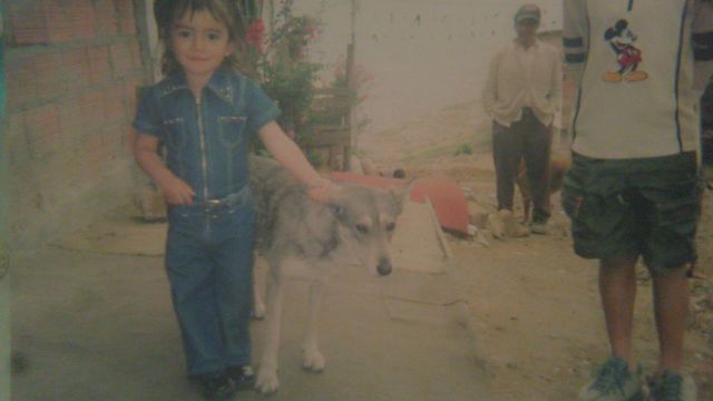 The best pet in the world