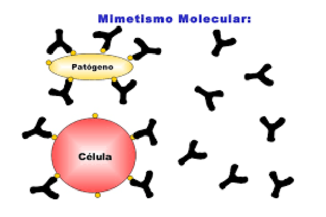 Mimetismo molecular.