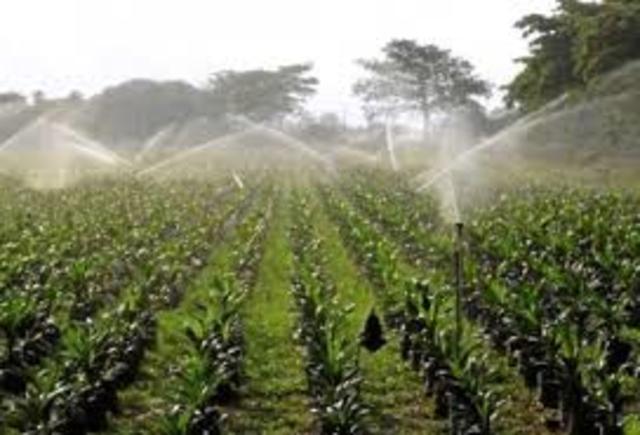 ASOBARDA-Agua para riego en verano