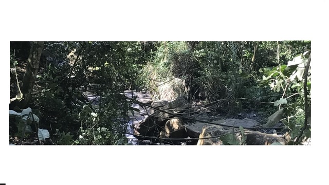 Inicio captación ilegal (Mangueras)