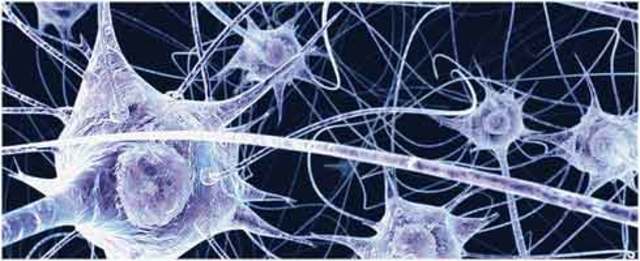 Proteína del recuerdo