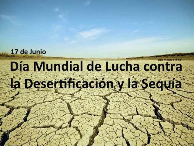 Día mundial contra la desertificación y la sequía