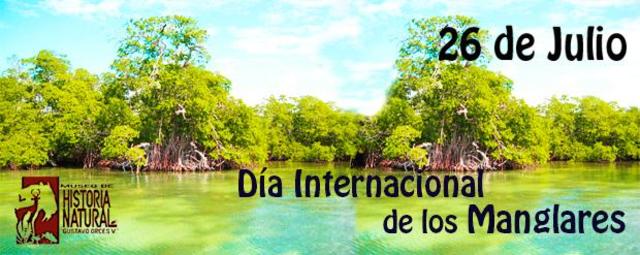 Día internacional de los manglares