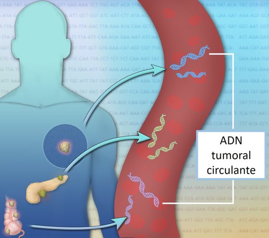 detectar en sangre mutaciones presentes en los tumores tempranos