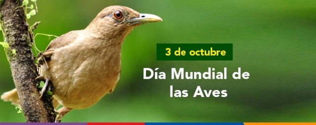 Día mundial de las aves