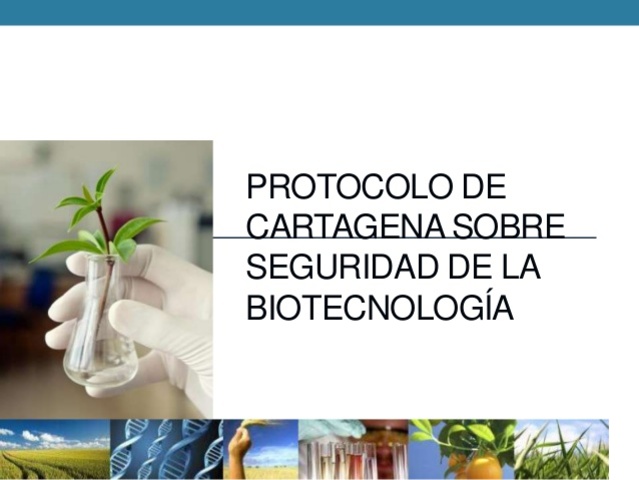 Protocolo de cartagena 2000