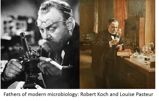 Germ Theory of Disease