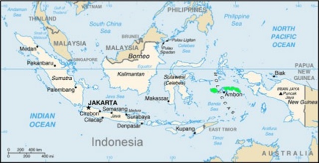 Magellan's Crew Sails to the Moluccas